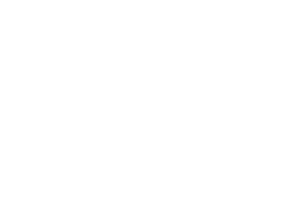 Clara Gorbin - tilridning og træning af islandske heste i Nordsjælland