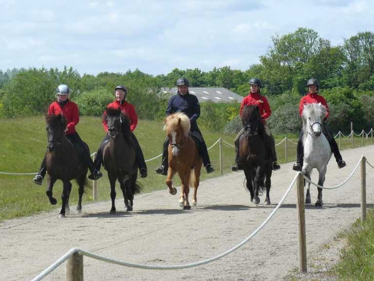 kvikas-afkomskaring-1-klasse-hedeland-2012-stutteri-bendstrup