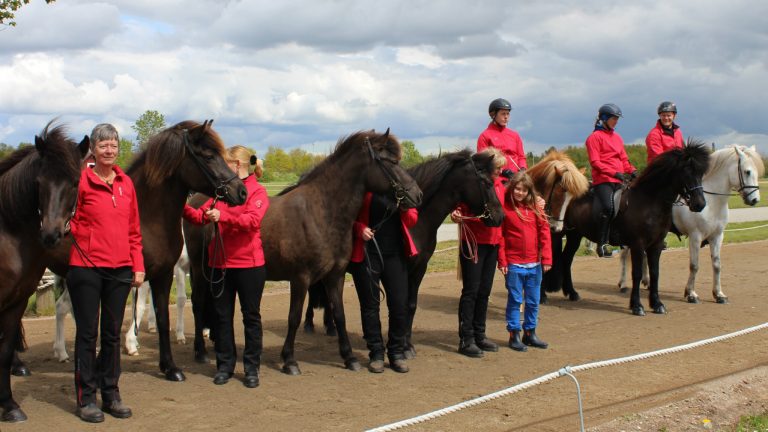 kvikas-afkomskaring-eliteklassen-herning-2015-stutteri-bendstrup