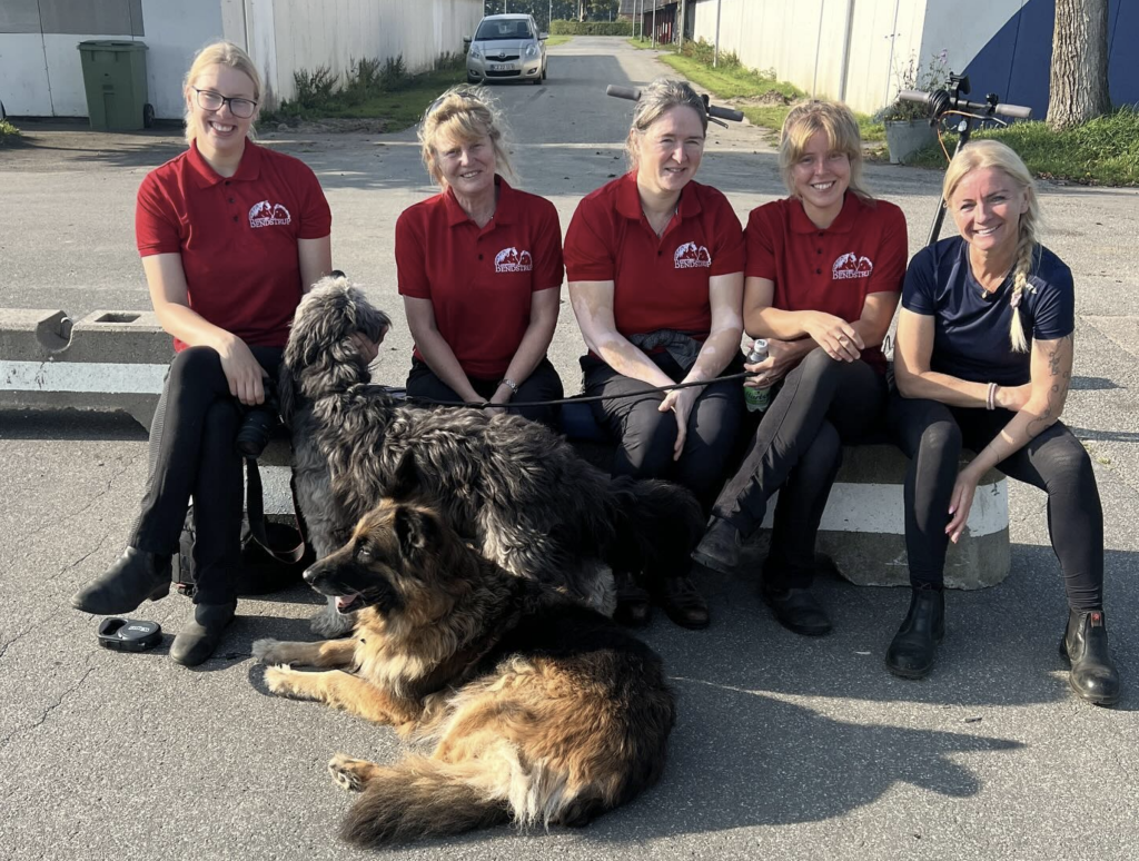 kontakt stutteri bendstrup, foto af Team Bendstrup, Herning 2024